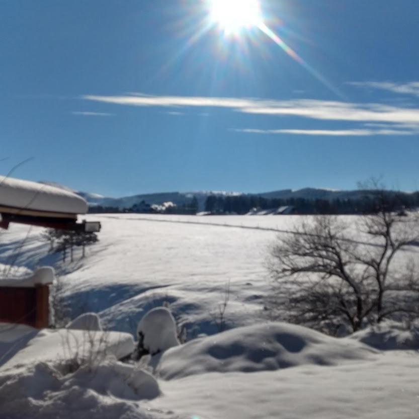 Apartments Carevo Polje Zlatibor Dış mekan fotoğraf