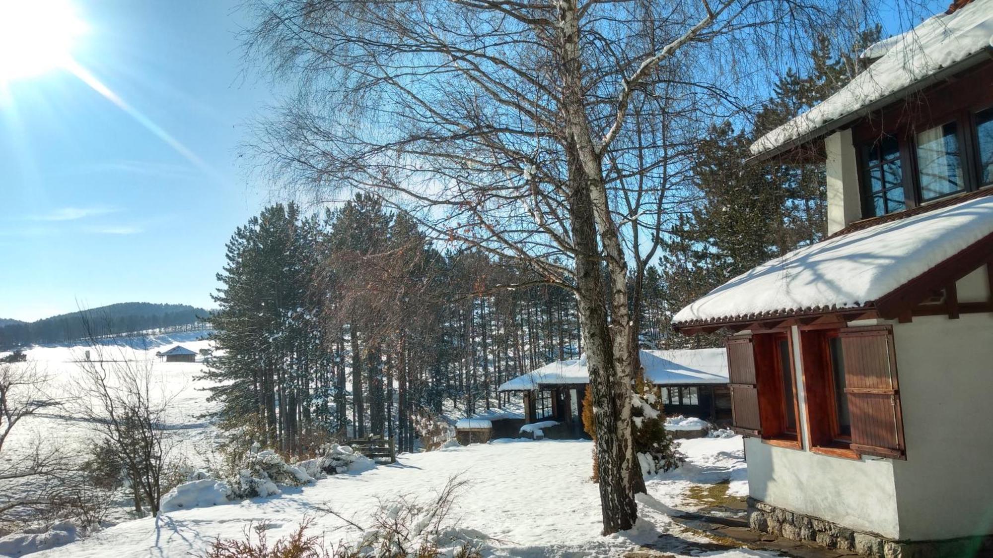 Apartments Carevo Polje Zlatibor Dış mekan fotoğraf