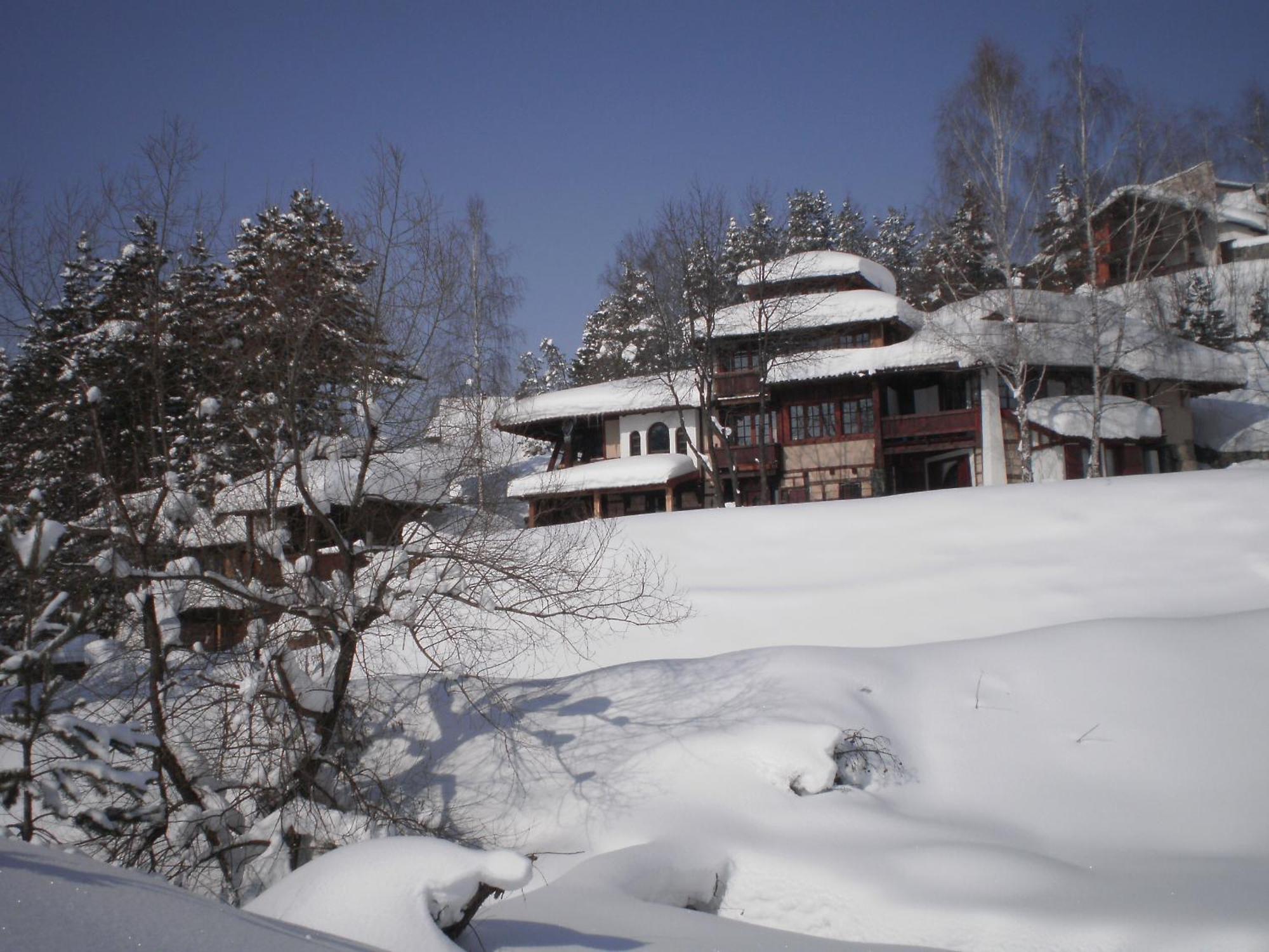 Apartments Carevo Polje Zlatibor Dış mekan fotoğraf