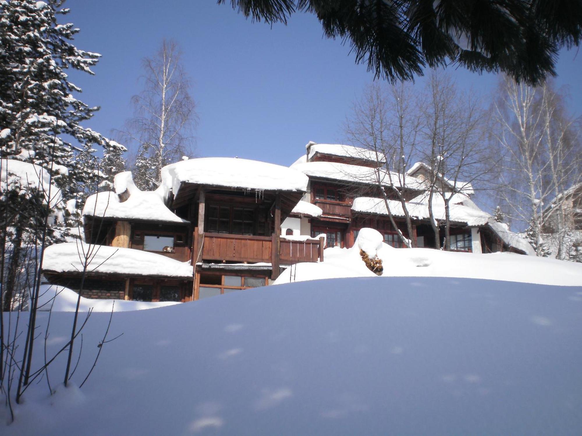 Apartments Carevo Polje Zlatibor Dış mekan fotoğraf