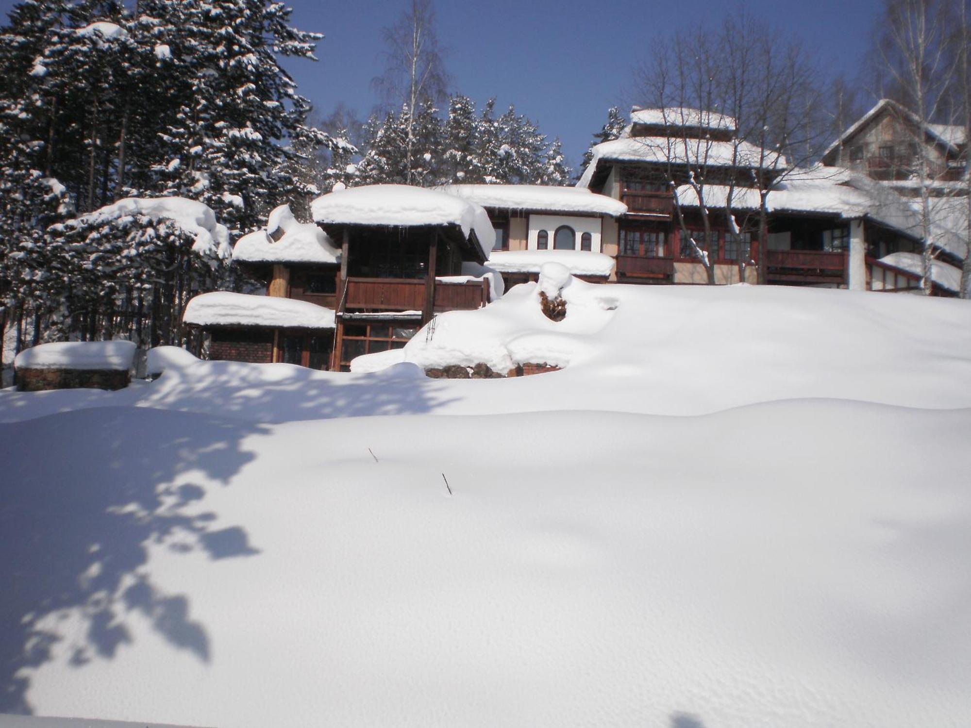 Apartments Carevo Polje Zlatibor Dış mekan fotoğraf