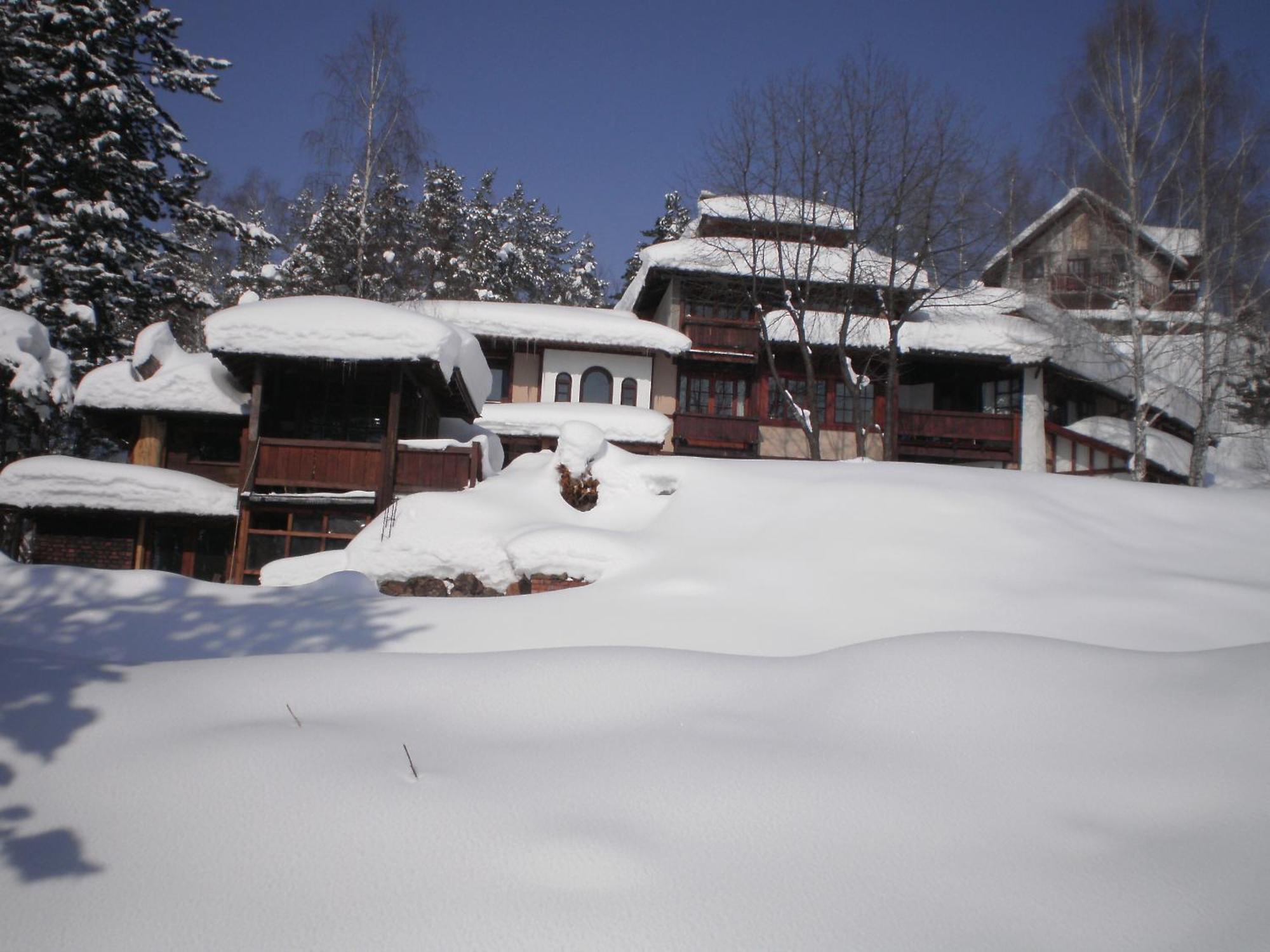 Apartments Carevo Polje Zlatibor Dış mekan fotoğraf