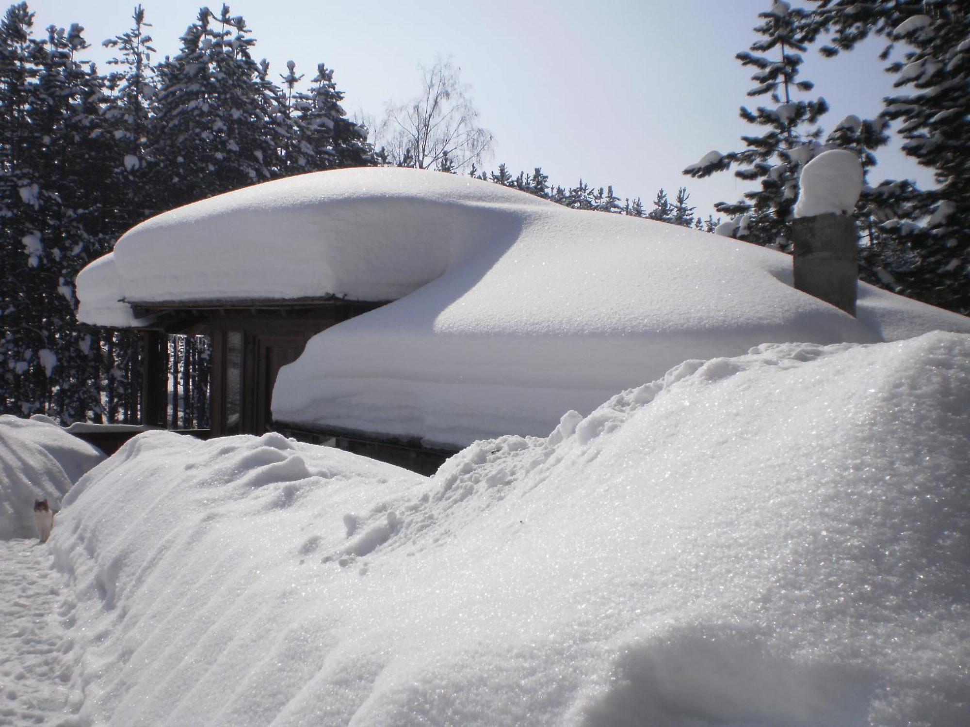 Apartments Carevo Polje Zlatibor Dış mekan fotoğraf