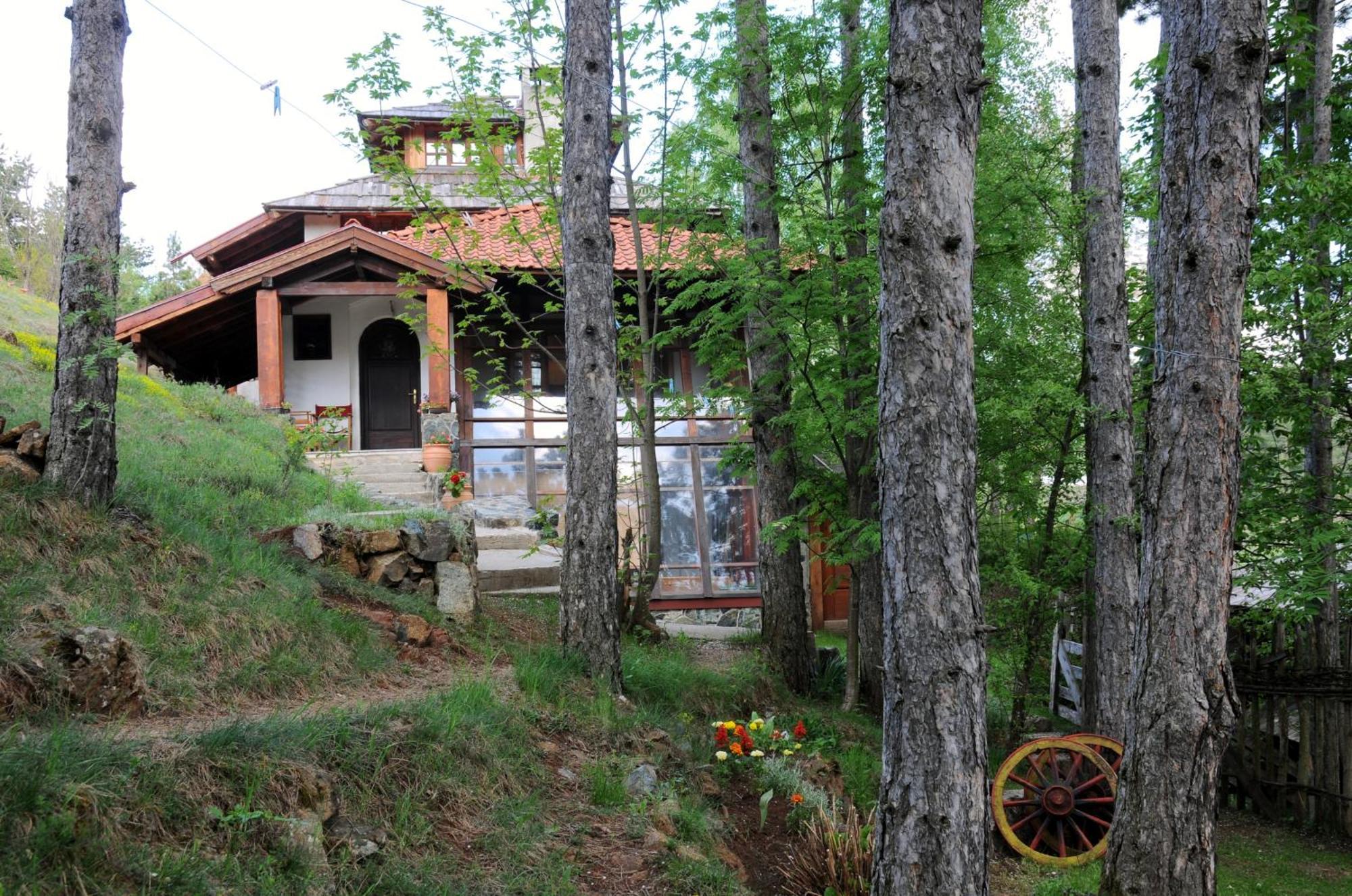 Apartments Carevo Polje Zlatibor Dış mekan fotoğraf
